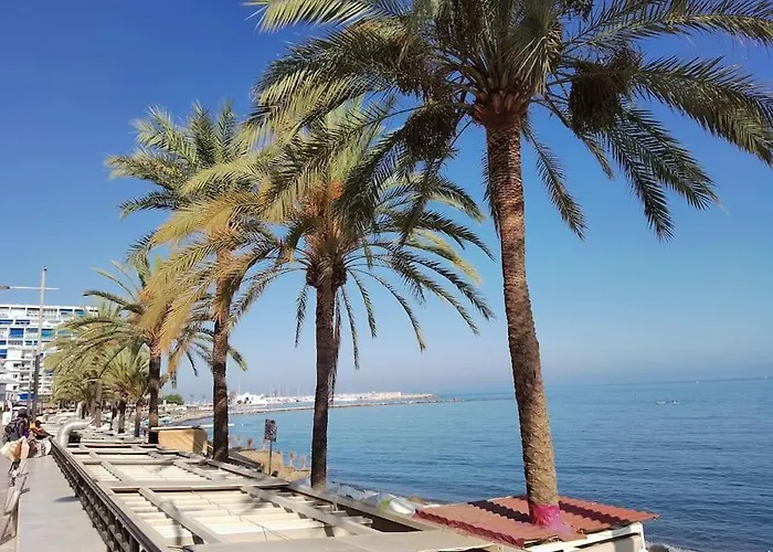 Apartman Center Ricardo Soriano 6 Persons - At 250 M *