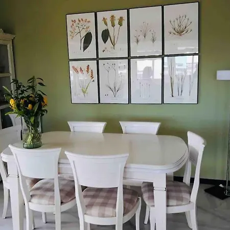 Center Ricardo Soriano 6 Persons - At 250 M Appartement *