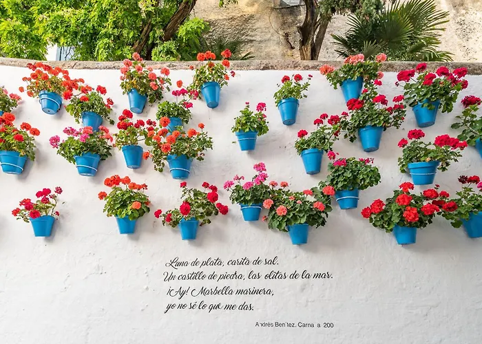 Center Ricardo Soriano 6 Persons - At 250 M Appartement