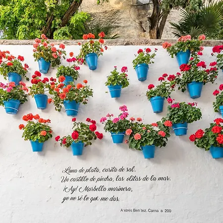 Center Ricardo Soriano 6 Persons - At 250 M Апартаменти